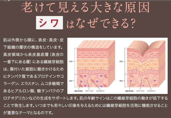 ����͂Ȃ��ł���